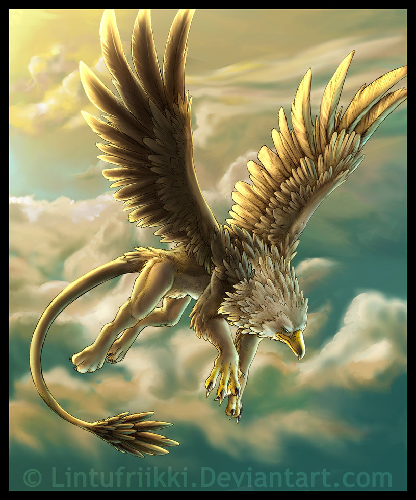 griffon 1